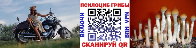 Псилоцибиновые грибы мухоморы  Абинск 
